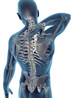 Osteo